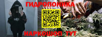 стафф Севастополь