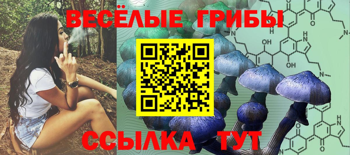 Псилоцибиновые грибы прущие грибы  Вход с VPN  Нижний Новгород 